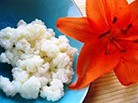 Закваска за Кефир -Кефирна гъба тибетска млечна