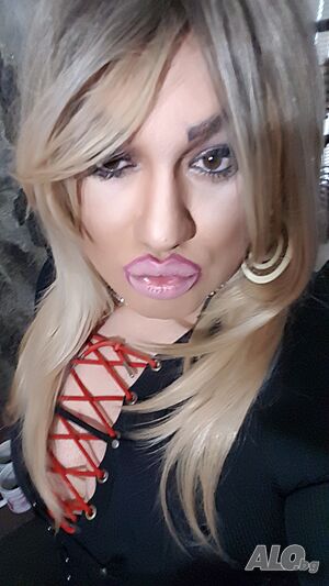 Посока от Плевен за Русе, В. Търново международен път