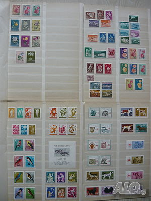 image_3