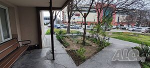 image_3