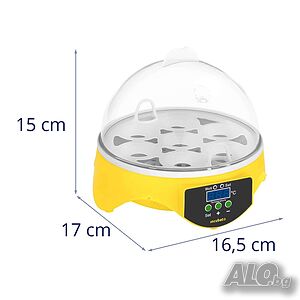 image_5