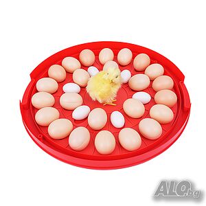 image_5