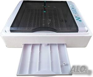 image_6