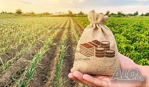 ПРОДАВАМ земеделска земя в гр. Чирпан, общ. Чирпан
