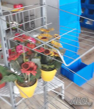 image_4