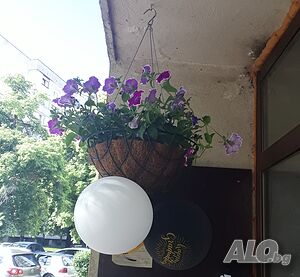image_8