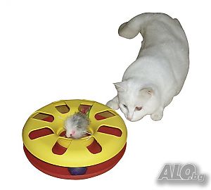 Играчка - Състезателно колело за котки