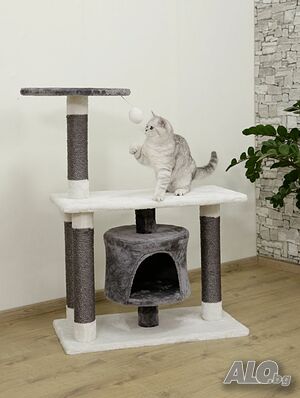image_5