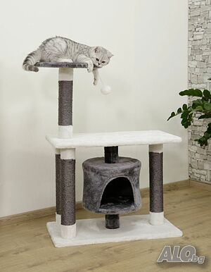 image_6