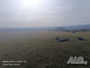 image_9