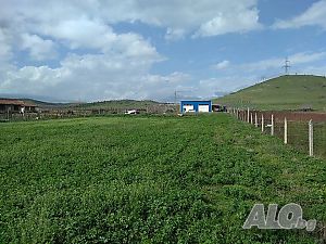image_15