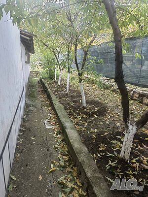 image_12