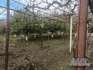 image_15