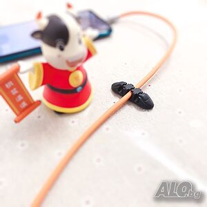 image_6