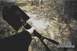 image_9