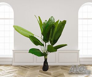 image_3