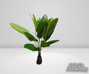 image_4