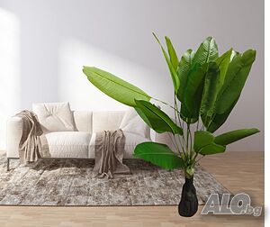 image_5