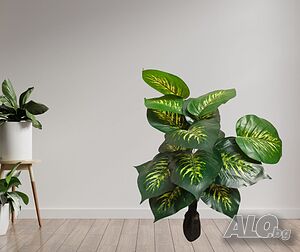 image_3