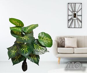 image_4