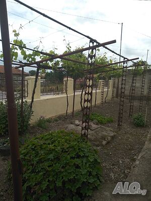 image_2
