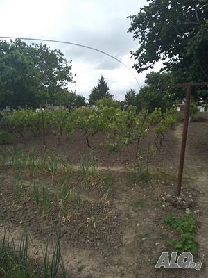 image_6